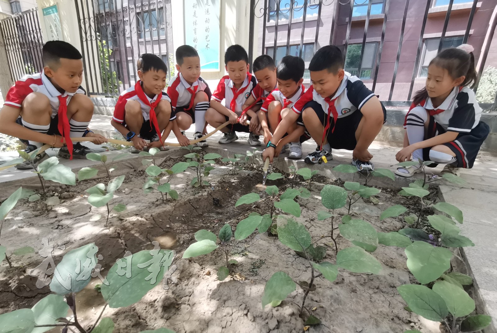 图片.jpg