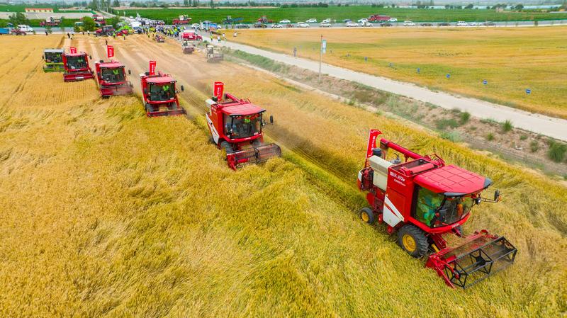 1717038336245807.jpg 1.jpg