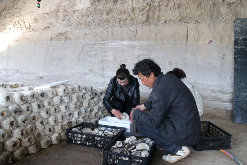 1717038356291473.jpg 2.jpg