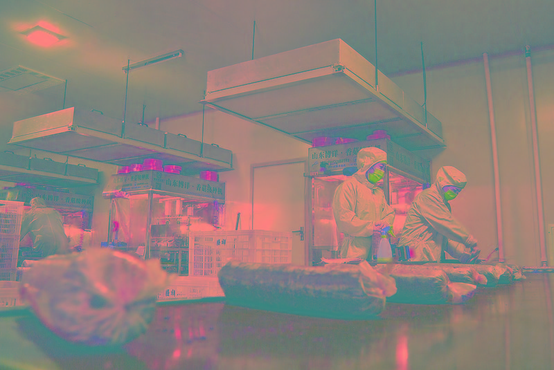 1717038398678923.jpg 4.jpg